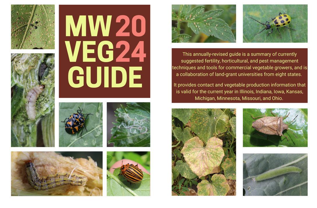 2024 Midwest Vegetable Guide booklet cover